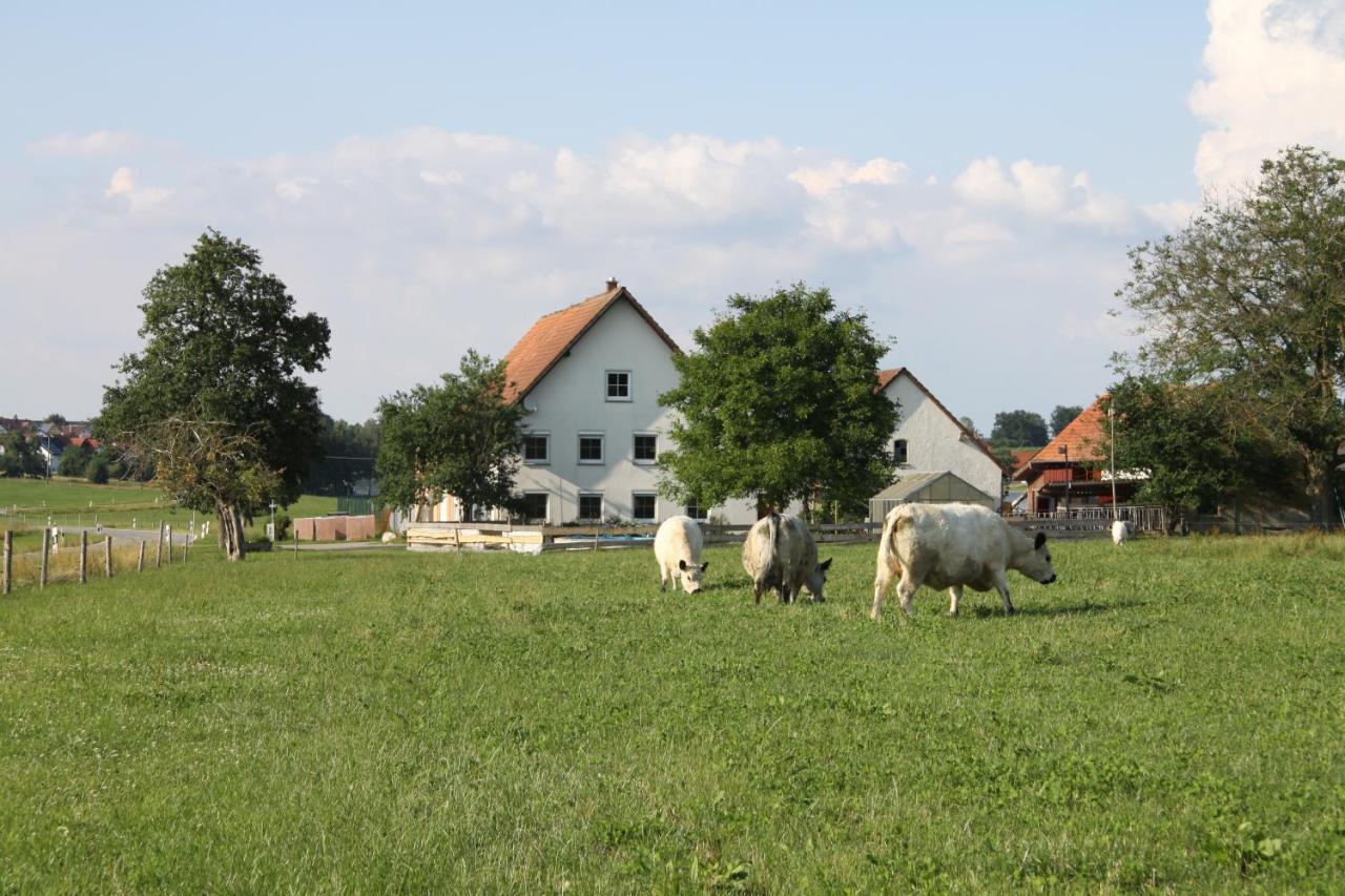 Traubshof Διαμέρισμα Ochsenhausen Εξωτερικό φωτογραφία